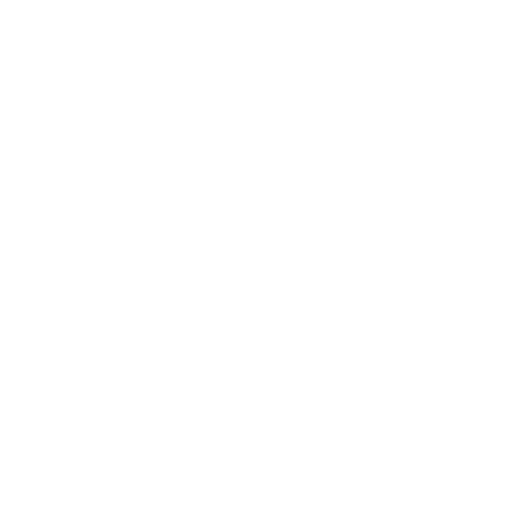 DIGITAL STYLE HOUSE logo